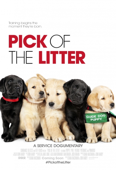 Pick of the Litter Pick of the Litter